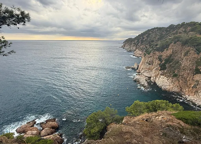 Ukulele Trimar * Льорет-де-Мар