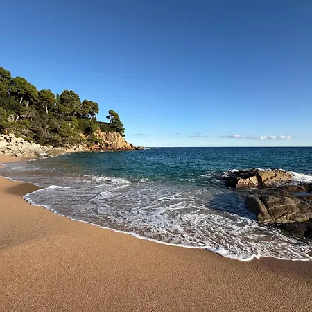 Lejlighed Ukulele Trimar With Swimming Pool & Parking Lloret de Mar