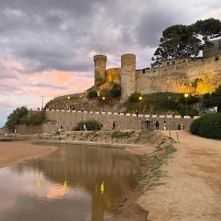 Lägenhet Ukulele Trimar